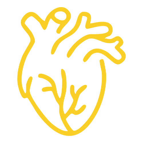 Cardiology