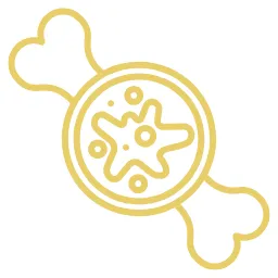 Bone Marrow Aspirate Concentrate