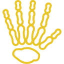 Rheumatology
